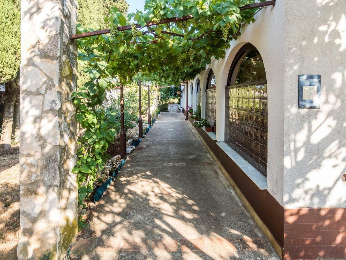 Apartman Jasmina Pola Esterno foto